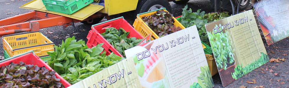 Waikato Farmers Market